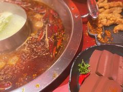-谭鸭血老火锅·匠心(环球港旗舰店)