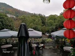 -阿巧茶庄