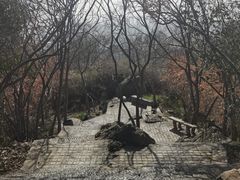 -紫金山山顶公园