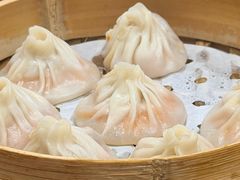 -莱莱小笼·乔艾