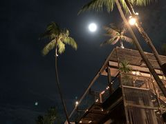 -Coco Tam’s