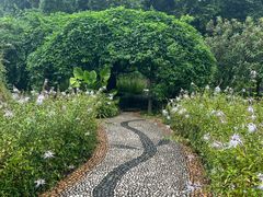 -广西壮族自治区药用植物园