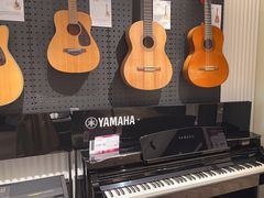 -雅歌音乐培训中心·钢琴培训·乐器培训(交道口店)