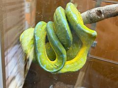 -上海昆虫博物馆