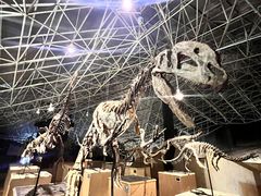 -世界恐龙谷景区