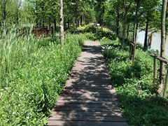 -柳鹭田园区