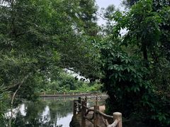 -海南热带野生动植物园