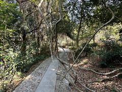 -南靖田螺坑土楼群景区