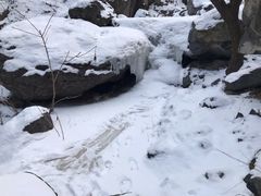 -阳台山自然风景区