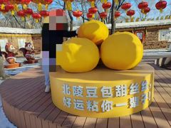 -北陵公园