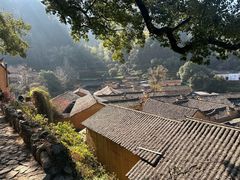 -杨家堂村