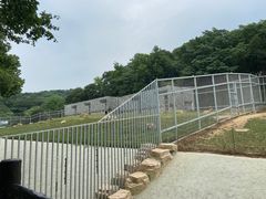 -南京珍珠泉风景区