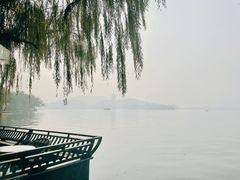 -柳莺湖上·湖景餐厅·江南菜(西湖店)