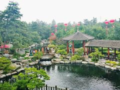 android_upload_pic-中国唐苑