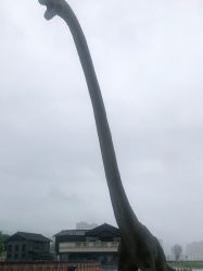 -恐龙探索乐园(磁器口店)