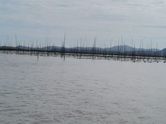 -北岐滩涂