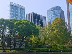 -团结湖公园
