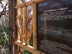 -呀路古热带植物园