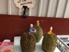 -油麻地果栏