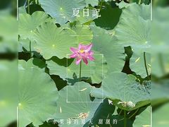 -北京动物园