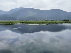 -腾冲北海湿地