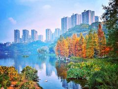 -重庆彩云湖湿地公园