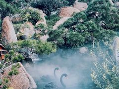 -罗红摄影艺术馆