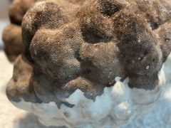 -中国湿地博物馆