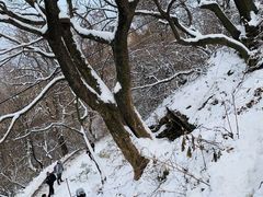 -秦岭终南山世界地质公园翠华山景区