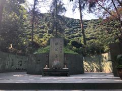 -十八棵（老龙井）御茶园(老龙井店)
