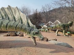 -大连森林动物园