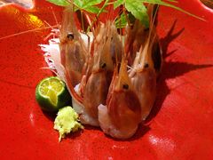 -KITON喜豚(清晖园店)