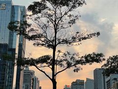 -黄记煌三汁焖锅(广州曜一城店)