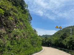 -莫干山风景区