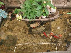 -阿嫂印象·民间江湖菜(大学城店)