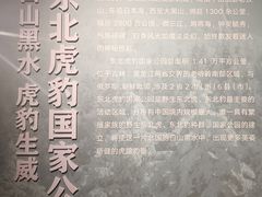 -中国地质博物馆