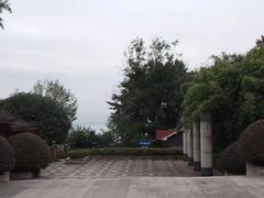-大渡口区义渡公园