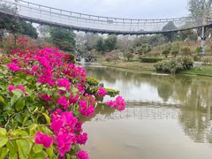 -东莞植物园