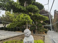 -大慈恩寺(大雁塔)
