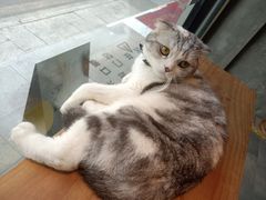 -作咖啡(养育巷店)