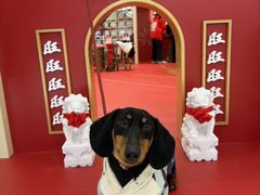 -王府井百货(总府店)