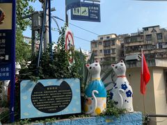 -猫咪博物馆(顶澳仔猫街店)