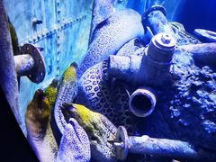 -成都浩海立方海洋公园