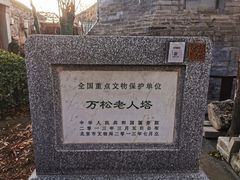 -万松老人塔
