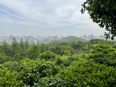 -潜山国家森林公园