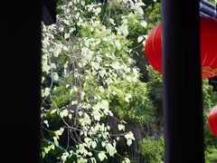 -深圳国际园林花卉博览园