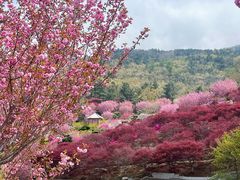 -石岛赤山风景区