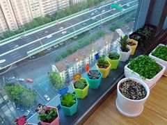 -蒂朵儿童绘画美术教室