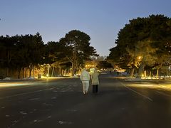 -北陵公园