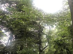 -青城山